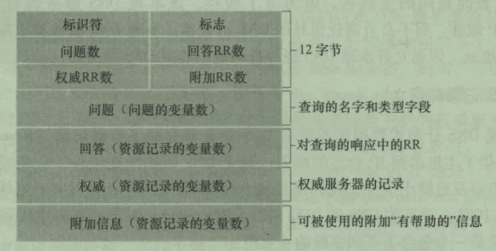 DNS报文格式